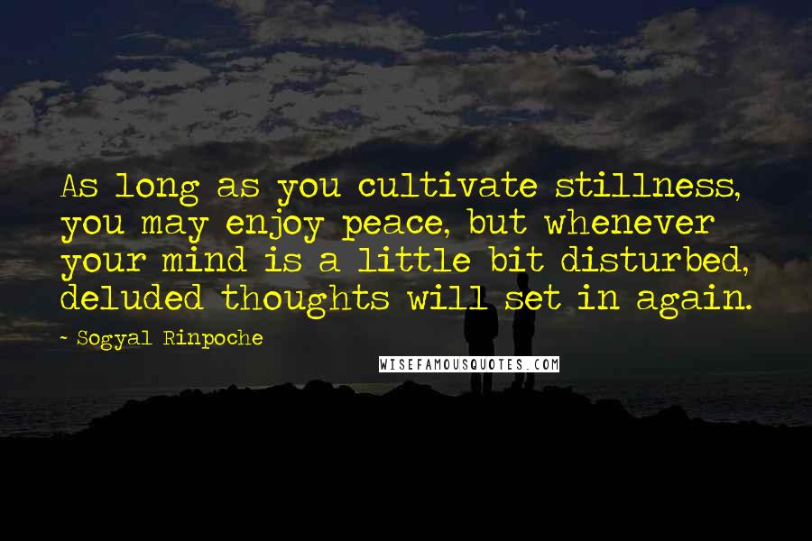 Sogyal Rinpoche quotes: As long as you cultivate stillness, you may enjoy peace, but whenever your mind is a little bit disturbed, deluded thoughts will set in again.