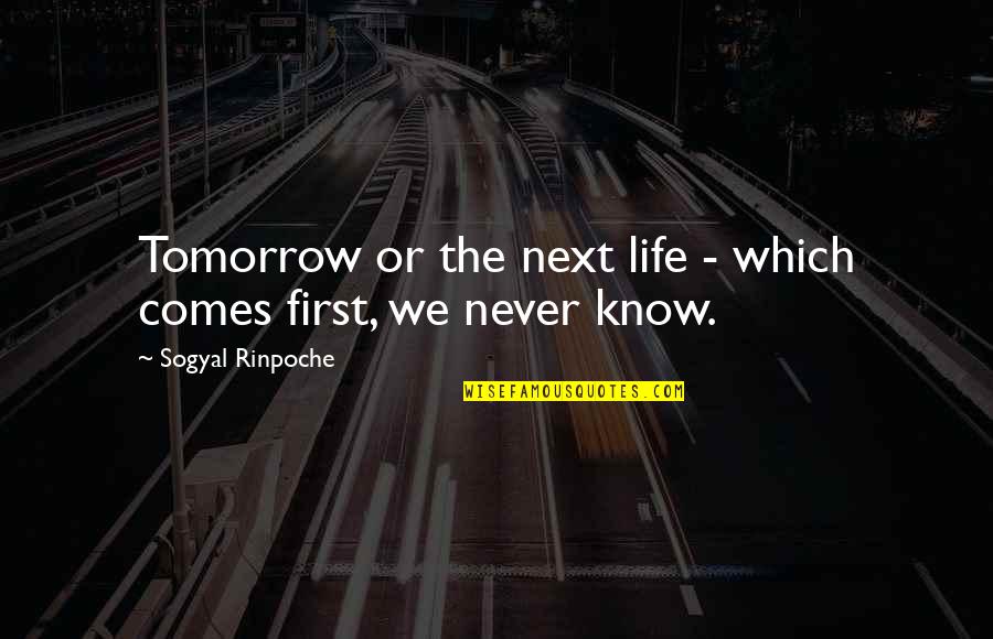 Sogyal Rinpoche Quotes By Sogyal Rinpoche: Tomorrow or the next life - which comes