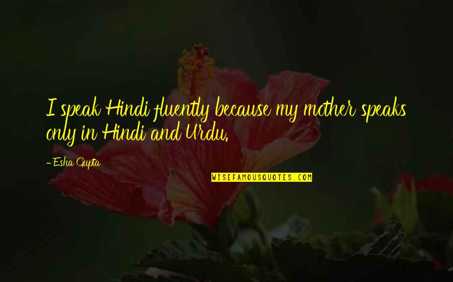 Sohier Road Quotes By Esha Gupta: I speak Hindi fluently because my mother speaks