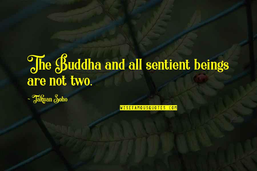 Soho's Quotes By Takuan Soho: The Buddha and all sentient beings are not