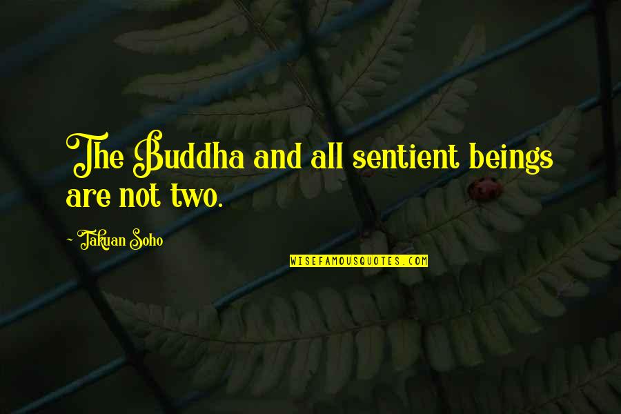 Soho's Quotes By Takuan Soho: The Buddha and all sentient beings are not Soho's Quotes By Takuan Soho: The Buddha and all sentient beings are not