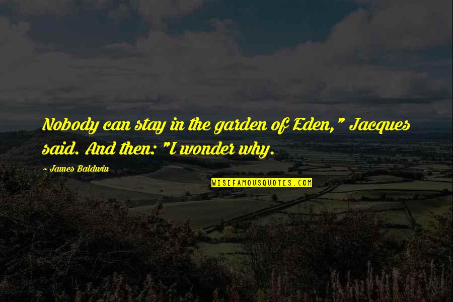 Soinstead Quotes By James Baldwin: Nobody can stay in the garden of Eden,"