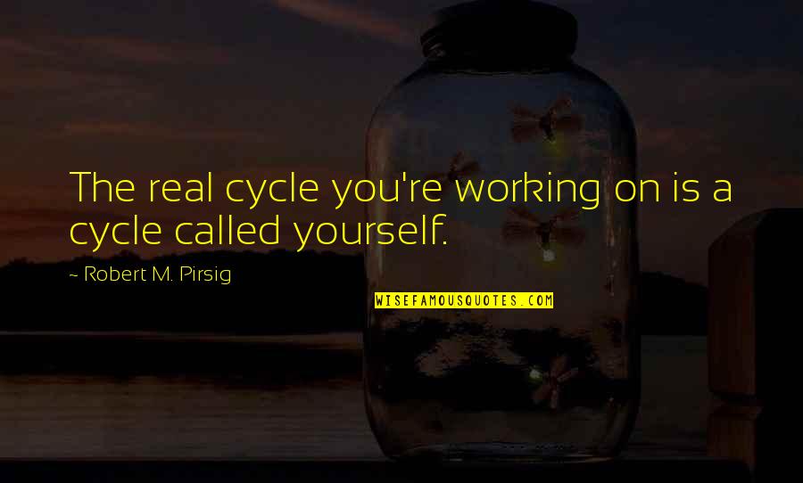 Sojka Farms Quotes By Robert M. Pirsig: The real cycle you're working on is a