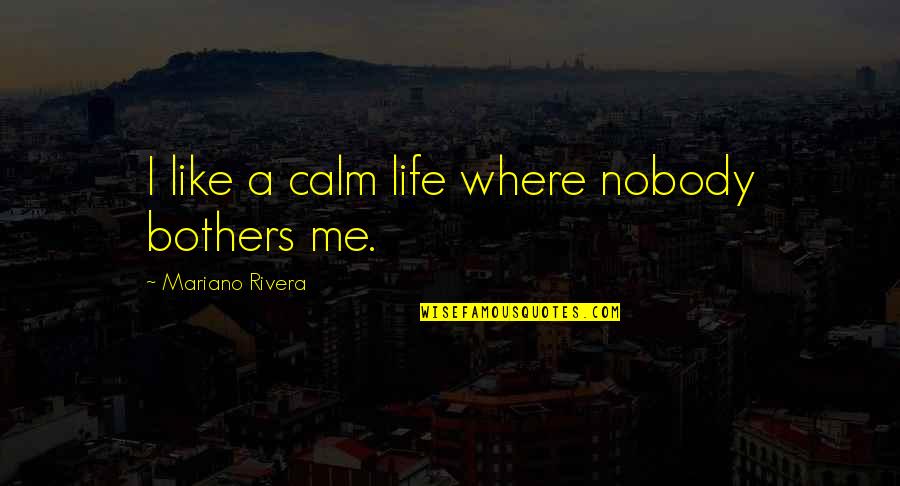 Sojourner Truth Quotes By Mariano Rivera: I like a calm life where nobody bothers