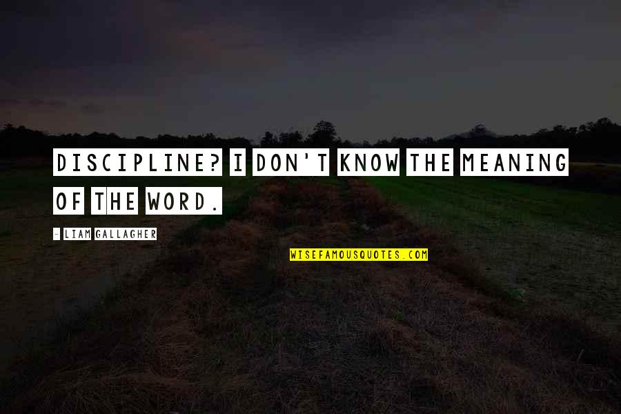 Sokhulu And Partners Quotes By Liam Gallagher: Discipline? I don't know the meaning of the Sokhulu And Partners Quotes By Liam Gallagher: Discipline? I don't know the meaning of the