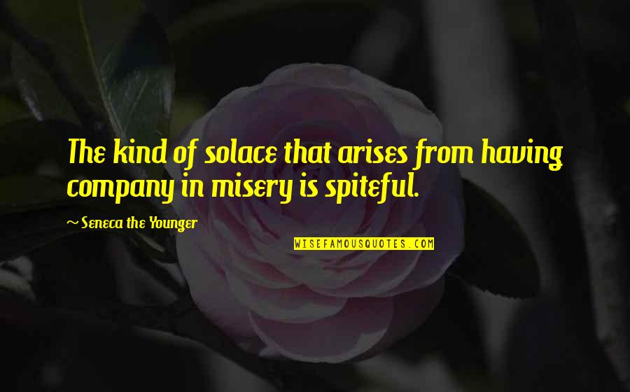 Solace Quotes By Seneca The Younger: The kind of solace that arises from having