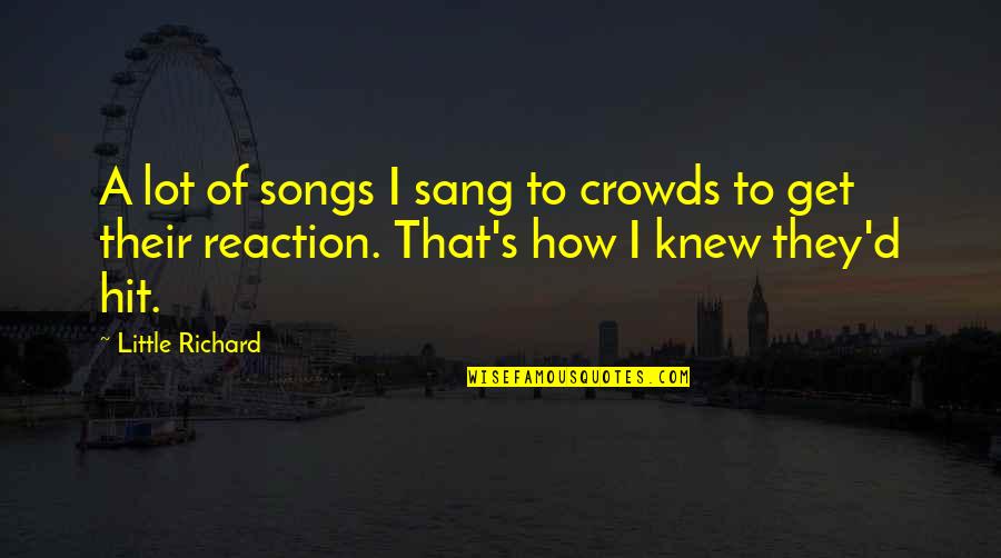 Soladey 2 Quotes By Little Richard: A lot of songs I sang to crowds