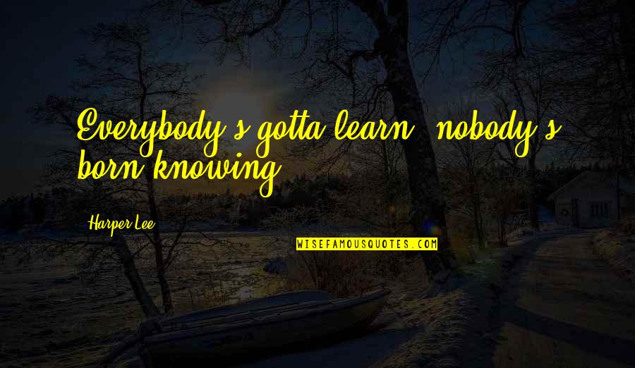 Solanas Crystal Beach Quotes By Harper Lee: Everybody's gotta learn, nobody's born knowing.