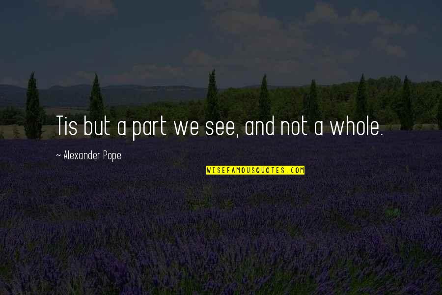 Solanum Quotes By Alexander Pope: Tis but a part we see, and not