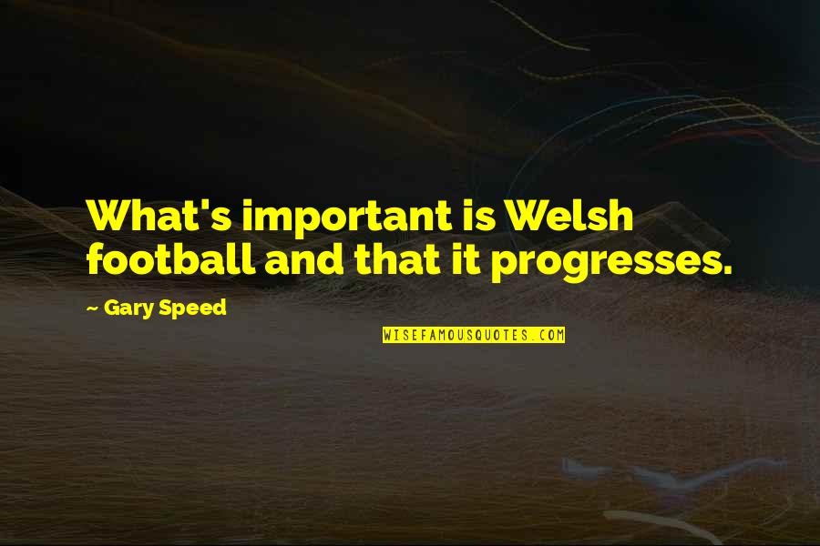 Solatif Quotes By Gary Speed: What's important is Welsh football and that it