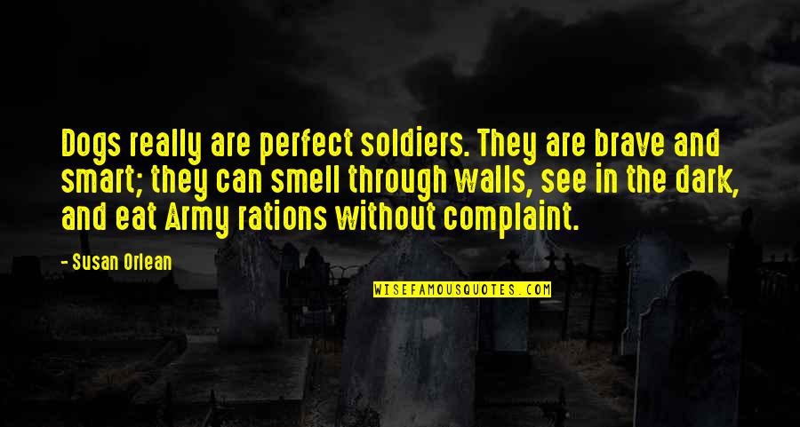 Soldiers And Dogs Quotes By Susan Orlean: Dogs really are perfect soldiers. They are brave