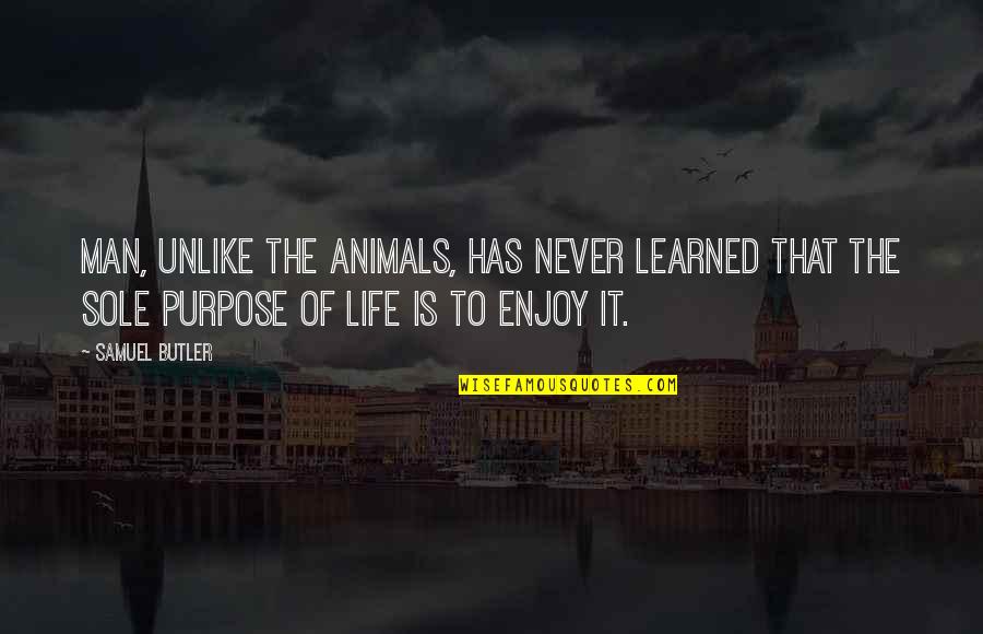 Sole Purpose Quotes By Samuel Butler: Man, unlike the animals, has never learned that