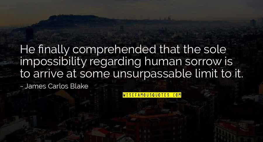 Sole Quotes By James Carlos Blake: He finally comprehended that the sole impossibility regarding Sole Quotes By James Carlos Blake: He finally comprehended that the sole impossibility regarding