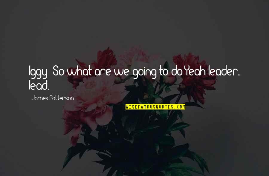 Soledades 2 Quotes By James Patterson: Iggy: So what are we going to do?Yeah