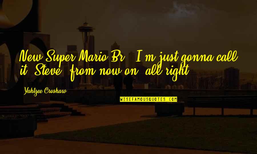 Solena At The Vineyards Quotes By Yahtzee Croshaw: New Super Mario Br - I'm just gonna