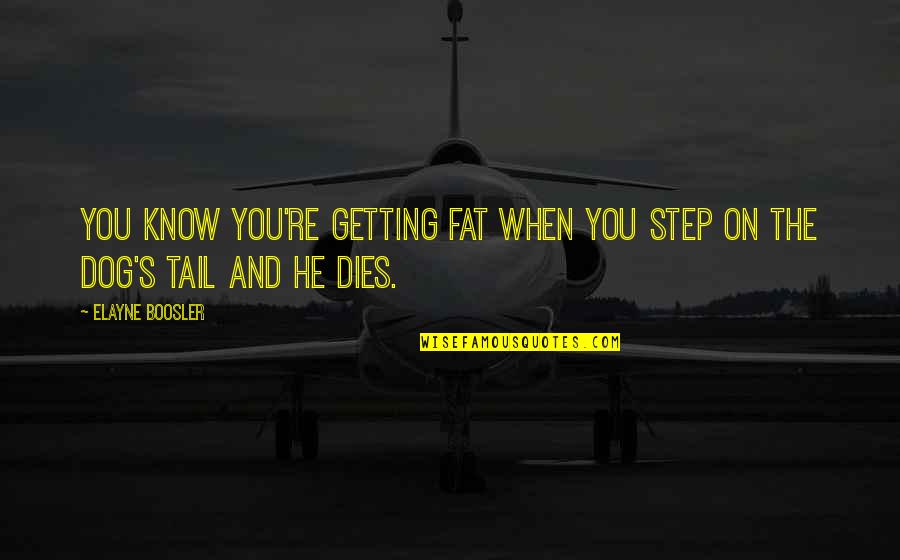Solena Landscape Quotes By Elayne Boosler: You know you're getting fat when you step