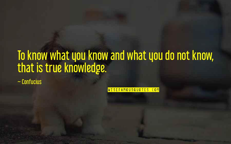 Solfataras Vitamins Quotes By Confucius: To know what you know and what you