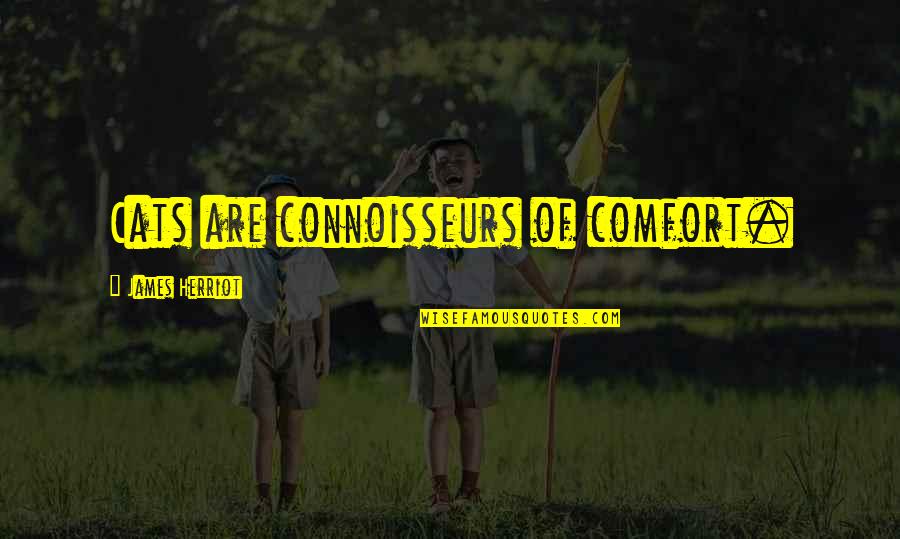 Solicitation Quotes By James Herriot: Cats are connoisseurs of comfort. Solicitation Quotes By James Herriot: Cats are connoisseurs of comfort.