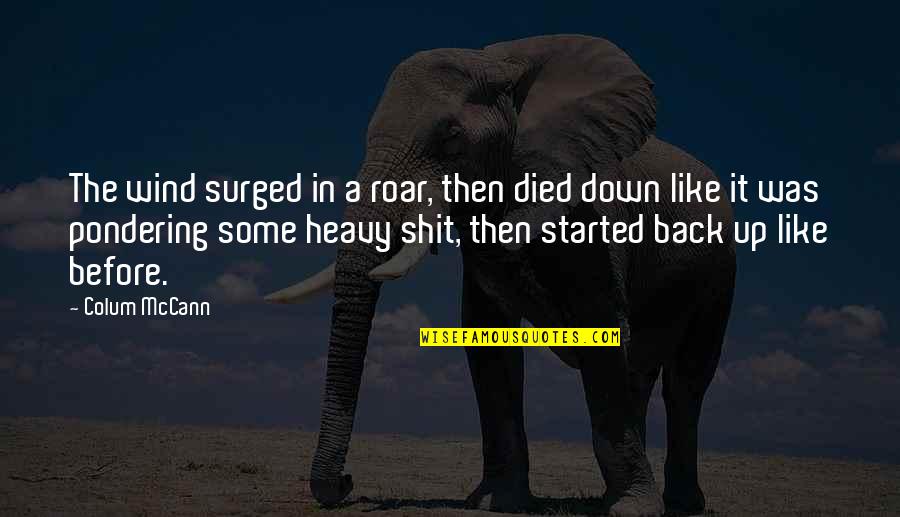 Soliciting Signs Quotes By Colum McCann: The wind surged in a roar, then died Soliciting Signs Quotes By Colum McCann: The wind surged in a roar, then died