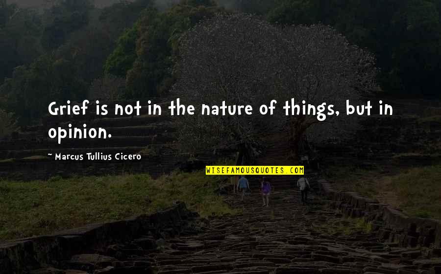 Solicitor Vs Barrister Quotes By Marcus Tullius Cicero: Grief is not in the nature of things,