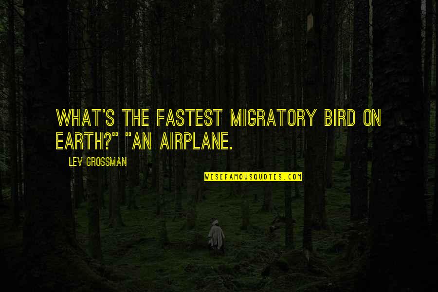 Solidao Batman Quotes By Lev Grossman: What's the fastest migratory bird on Earth?" "An Solidao Batman Quotes By Lev Grossman: What's the fastest migratory bird on Earth?" "An