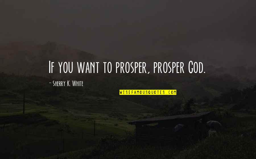 Soliders Quotes By Sherry K. White: If you want to prosper, prosper God. Soliders Quotes By Sherry K. White: If you want to prosper, prosper God.
