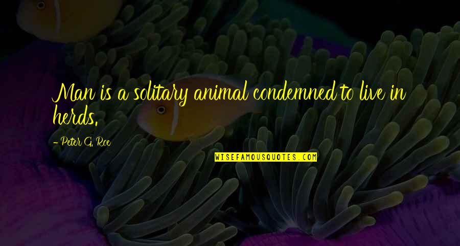 Solitary Quotes By Peter G. Roe: Man is a solitary animal condemned to live