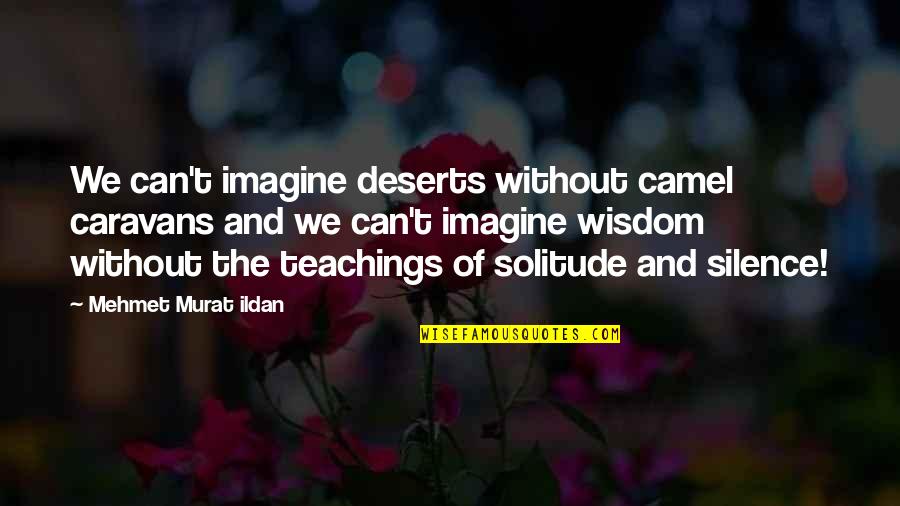 Solitude And Silence Quotes By Mehmet Murat Ildan: We can't imagine deserts without camel caravans and