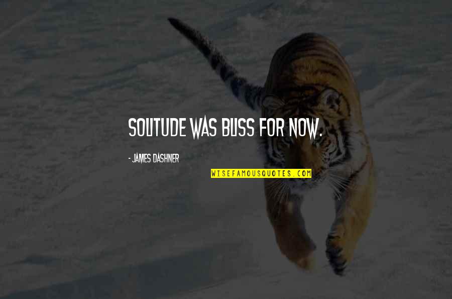 Solitude Quotes By James Dashner: solitude was bliss for now.
