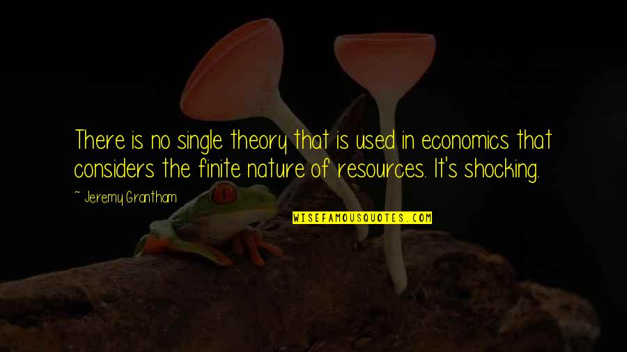 Solitudine In Inglese Quotes By Jeremy Grantham: There is no single theory that is used Solitudine In Inglese Quotes By Jeremy Grantham: There is no single theory that is used