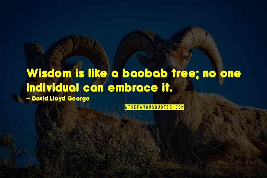 Solo Dates Quotes By David Lloyd George: Wisdom is like a baobab tree; no one
