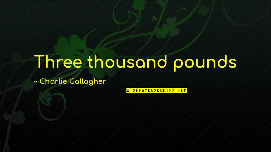 Solomita Mage Quotes By Charlie Gallagher: Three thousand pounds