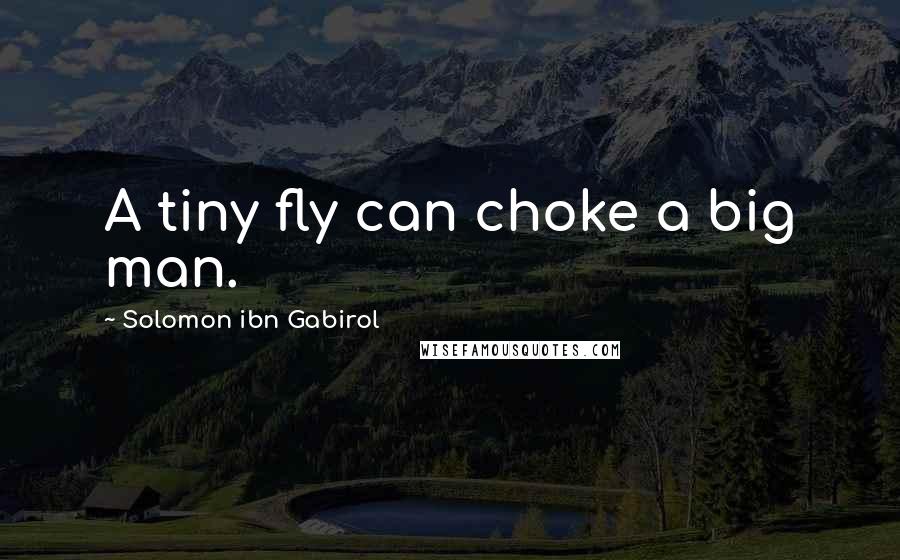 Solomon Ibn Gabirol quotes: A tiny fly can choke a big man.