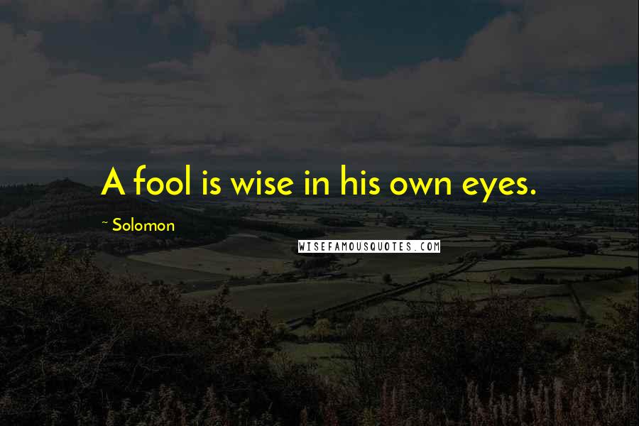 Solomon quotes: A fool is wise in his own eyes.