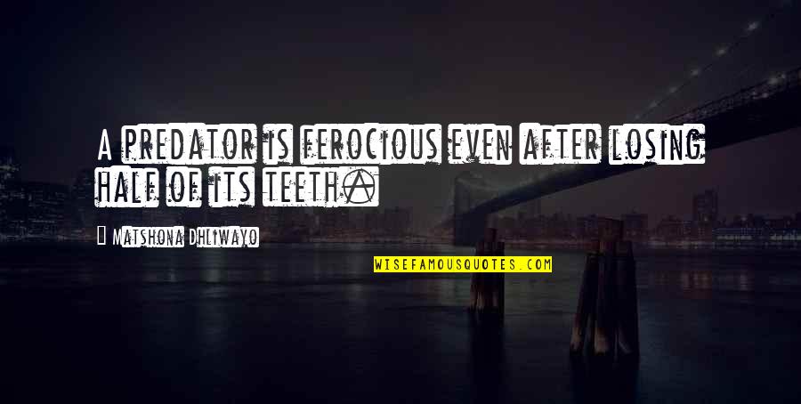 Solomonoff Architects Quotes By Matshona Dhliwayo: A predator is ferocious even after losing half
