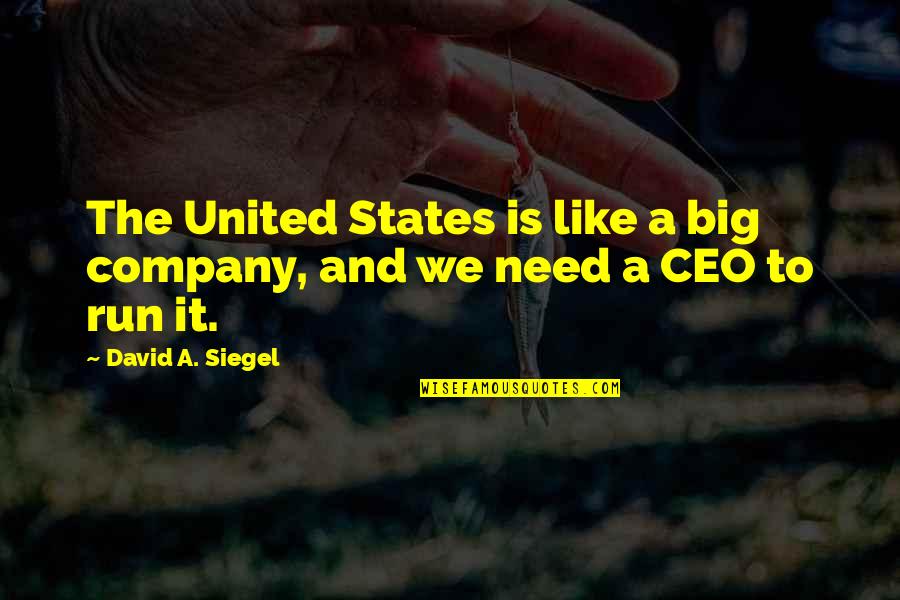 Solonsky Quotes By David A. Siegel: The United States is like a big company,