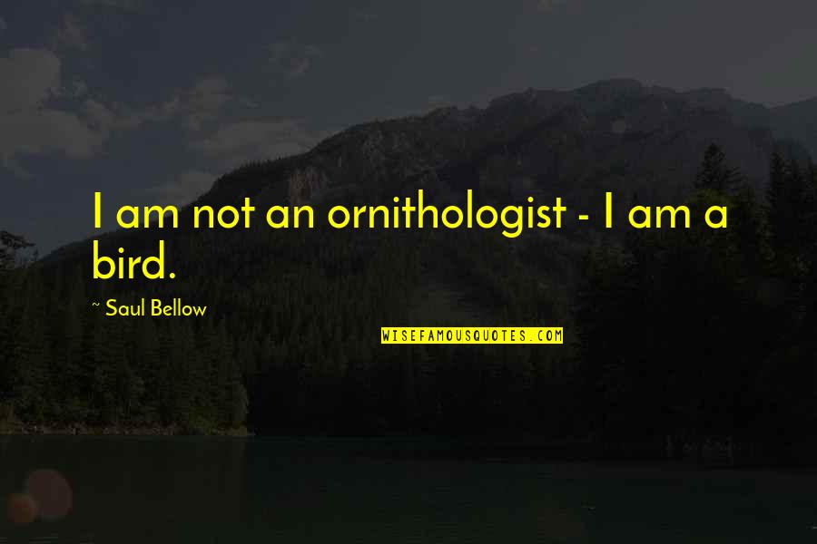 Solution Finding Quotes By Saul Bellow: I am not an ornithologist - I am