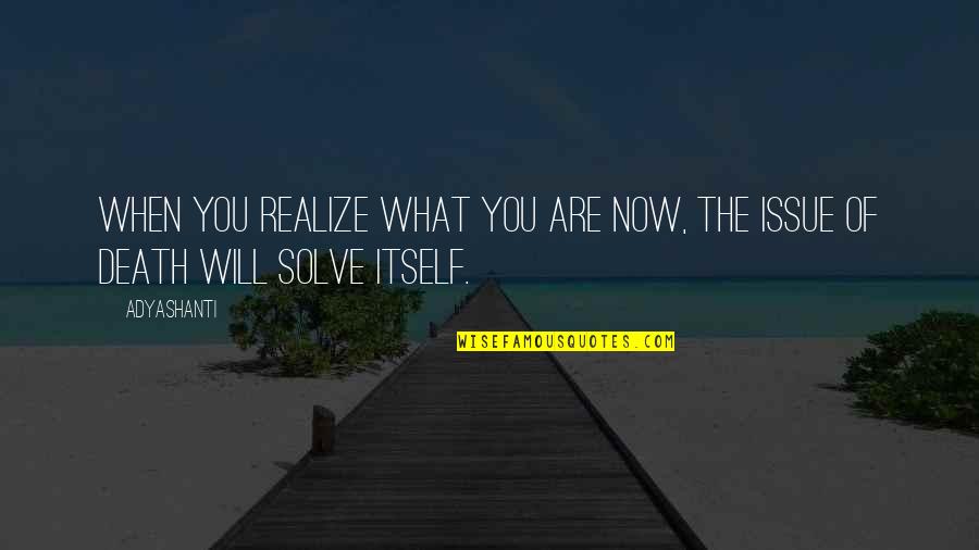 Solve Issues Quotes By Adyashanti: When you realize what you are now, the