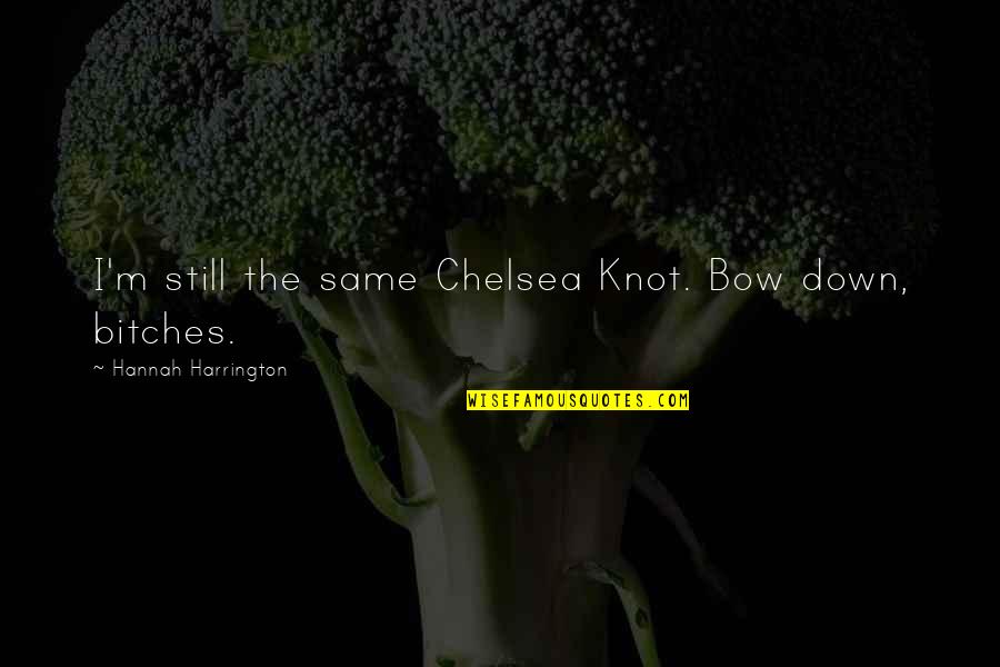 Sombots Quotes By Hannah Harrington: I'm still the same Chelsea Knot. Bow down, Sombots Quotes By Hannah Harrington: I'm still the same Chelsea Knot. Bow down,