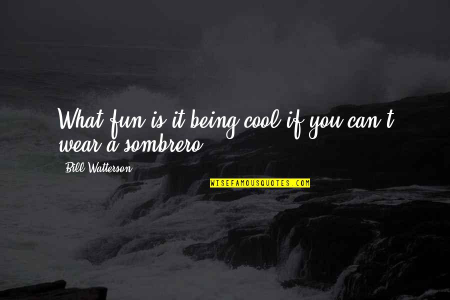 Sombrero Quotes By Bill Watterson: What fun is it being cool if you Sombrero Quotes By Bill Watterson: What fun is it being cool if you