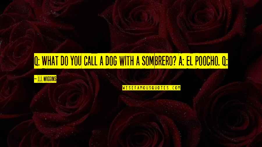 Sombrero Quotes By J.J. Wiggins: Q: What do you call a dog with
