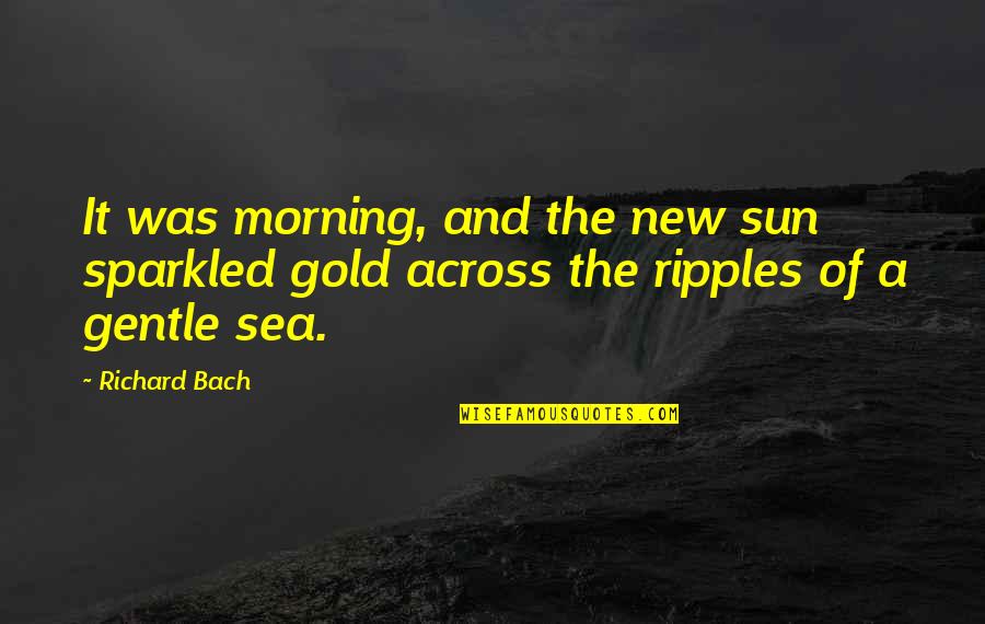 Somby Show Quotes By Richard Bach: It was morning, and the new sun sparkled