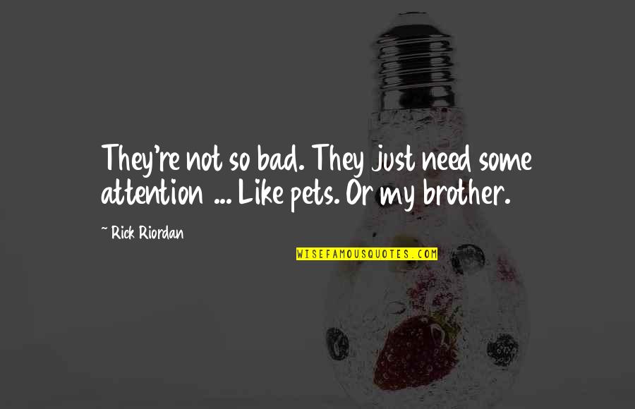 Some Brother Quotes By Rick Riordan: They're not so bad. They just need some