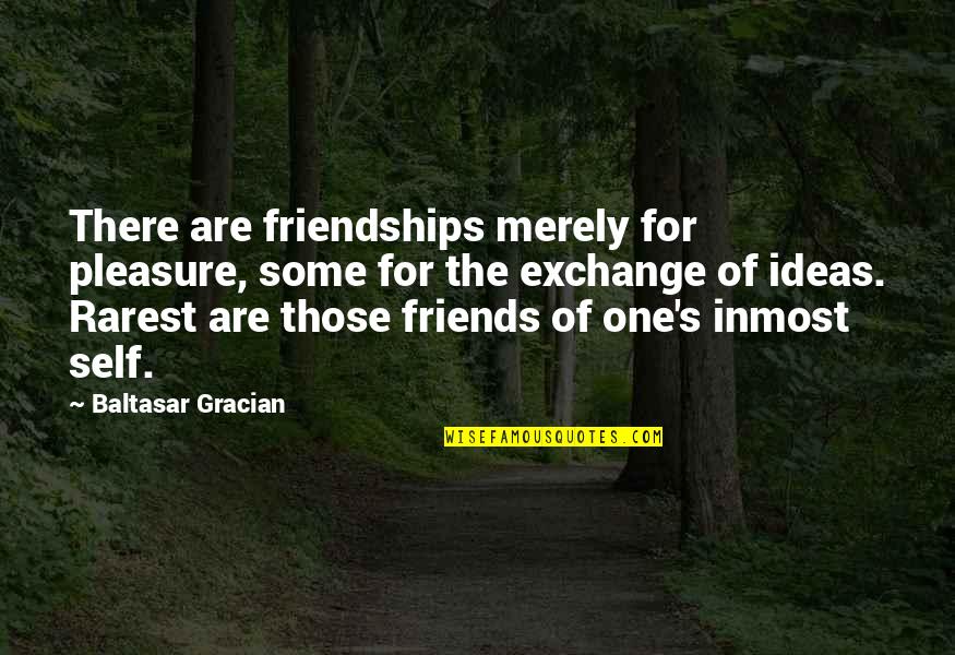 Some Friends Are Quotes By Baltasar Gracian: There are friendships merely for pleasure, some for