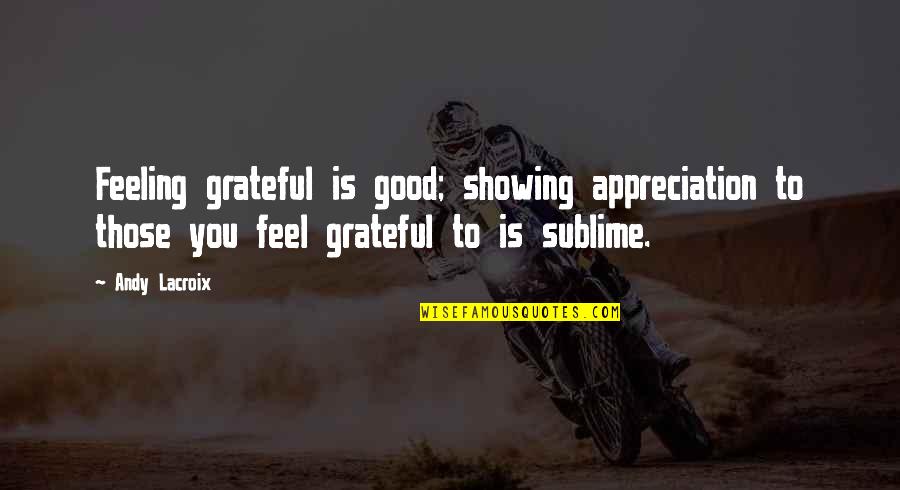 Some Good Feeling Quotes By Andy Lacroix: Feeling grateful is good; showing appreciation to those