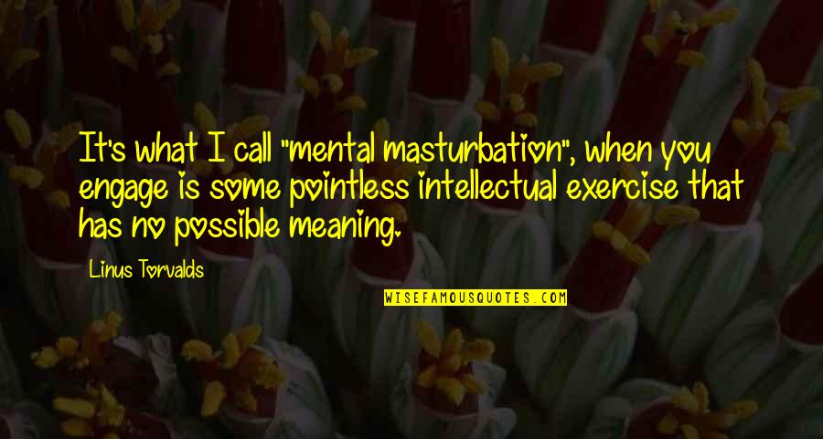 Some Intellectual Quotes By Linus Torvalds: It's what I call "mental masturbation", when you