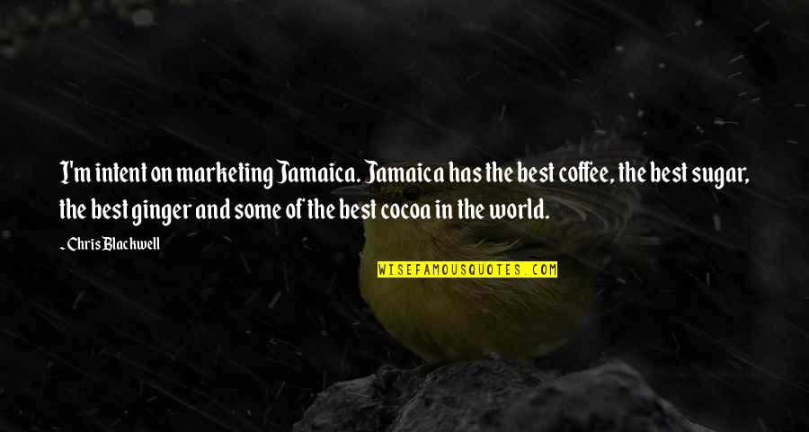 Some Of The World's Best Quotes By Chris Blackwell: I'm intent on marketing Jamaica. Jamaica has the