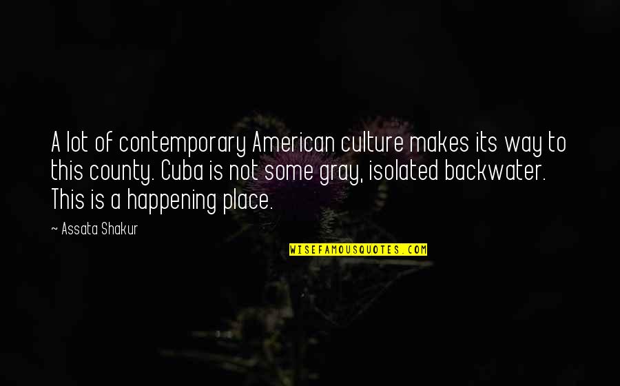 Some Place Quotes By Assata Shakur: A lot of contemporary American culture makes its