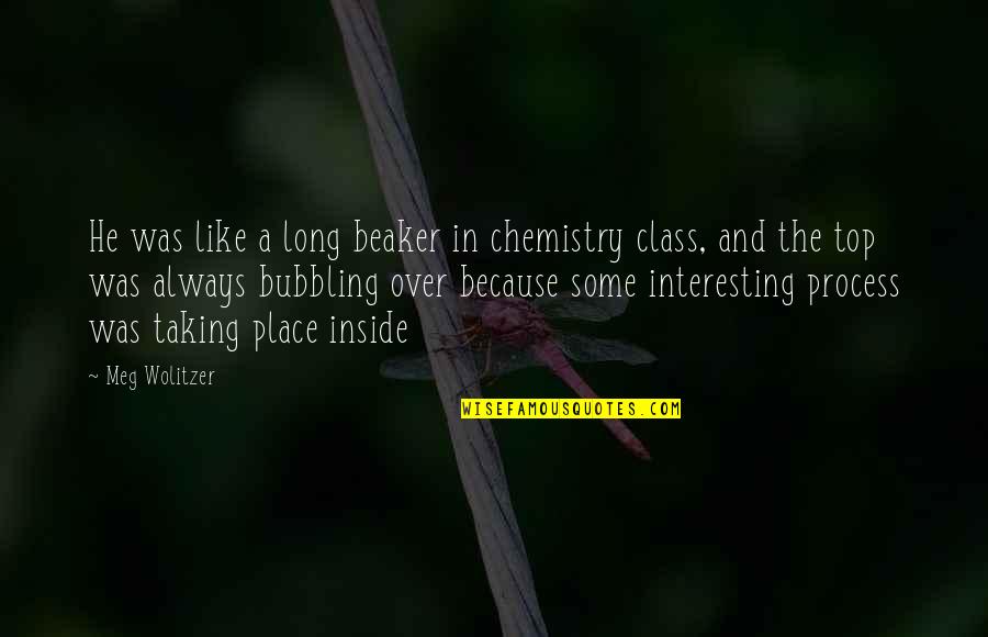 Some Place Quotes By Meg Wolitzer: He was like a long beaker in chemistry