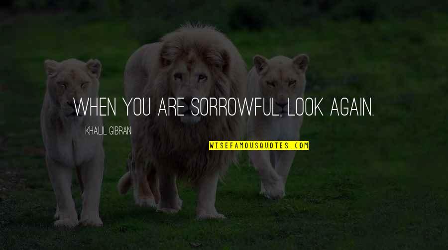 Some Sorrowful Quotes By Khalil Gibran: When you are sorrowful, look again.